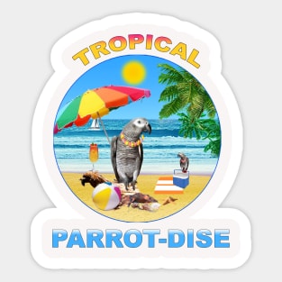 African Grey Congo parrot tropical Sticker